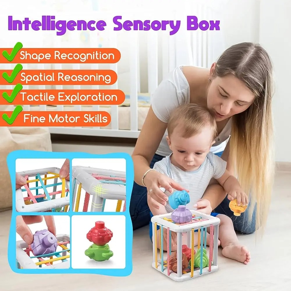 虹色のモンテッソーリ形状選別キューブ 赤ちゃん幼児用ブロック - Building Blocks のレビューと価格